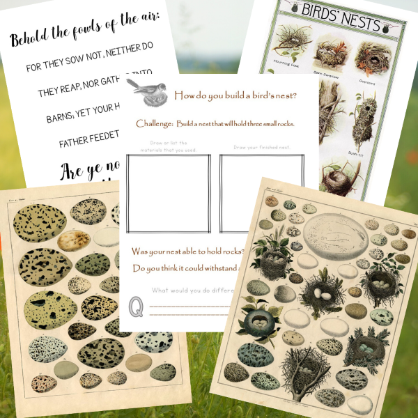 Build Your Own Bird's Nest Activity + Printable - Wonder-Filled Days