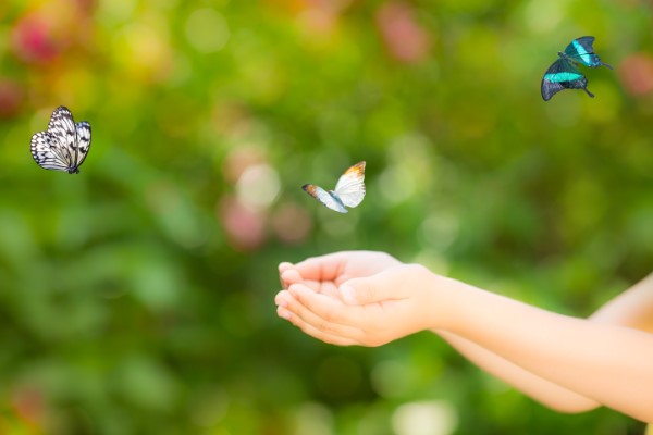 Choosing Joy as Homeschool Mom