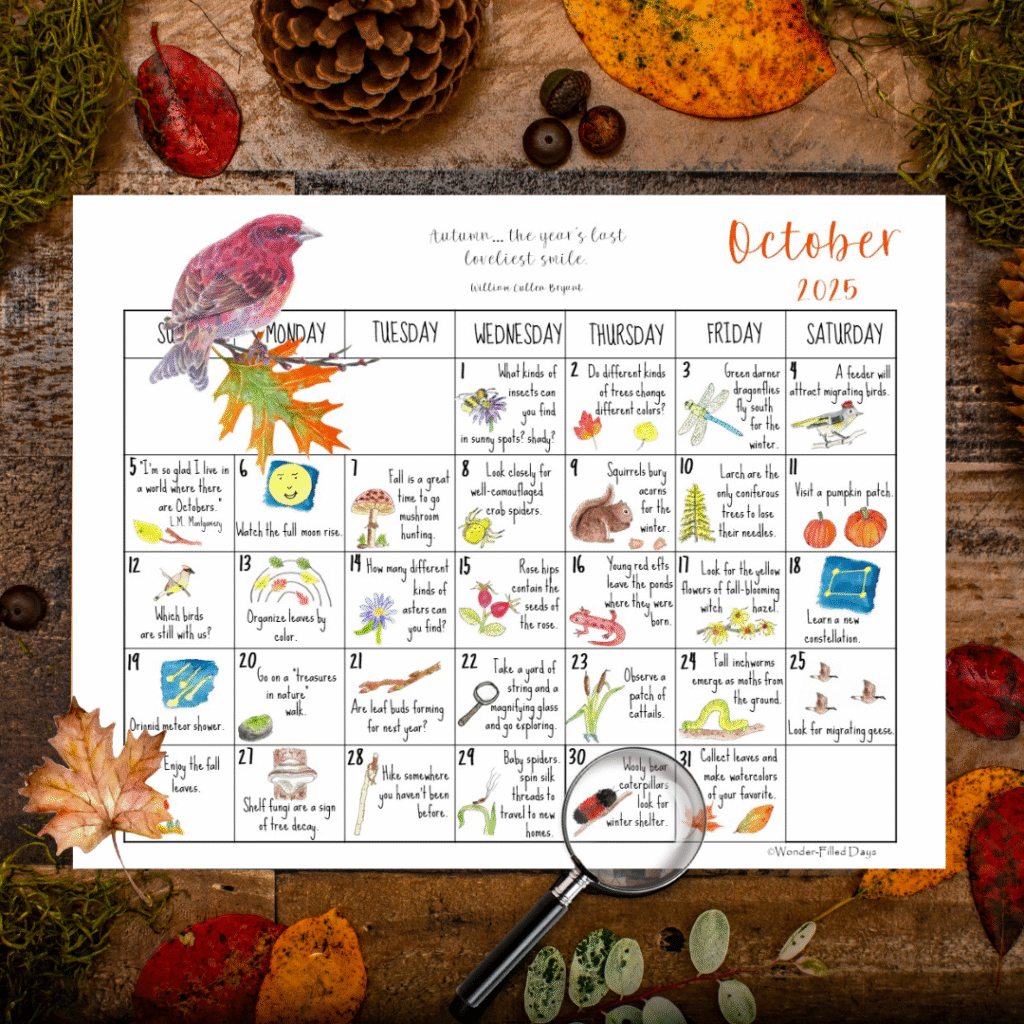 Wonder-Filled Days in Nature Monthly Membership (Digital) - Wonder ...