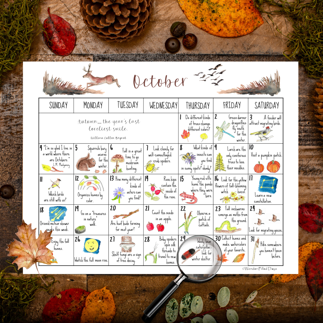 October Nature Calendar