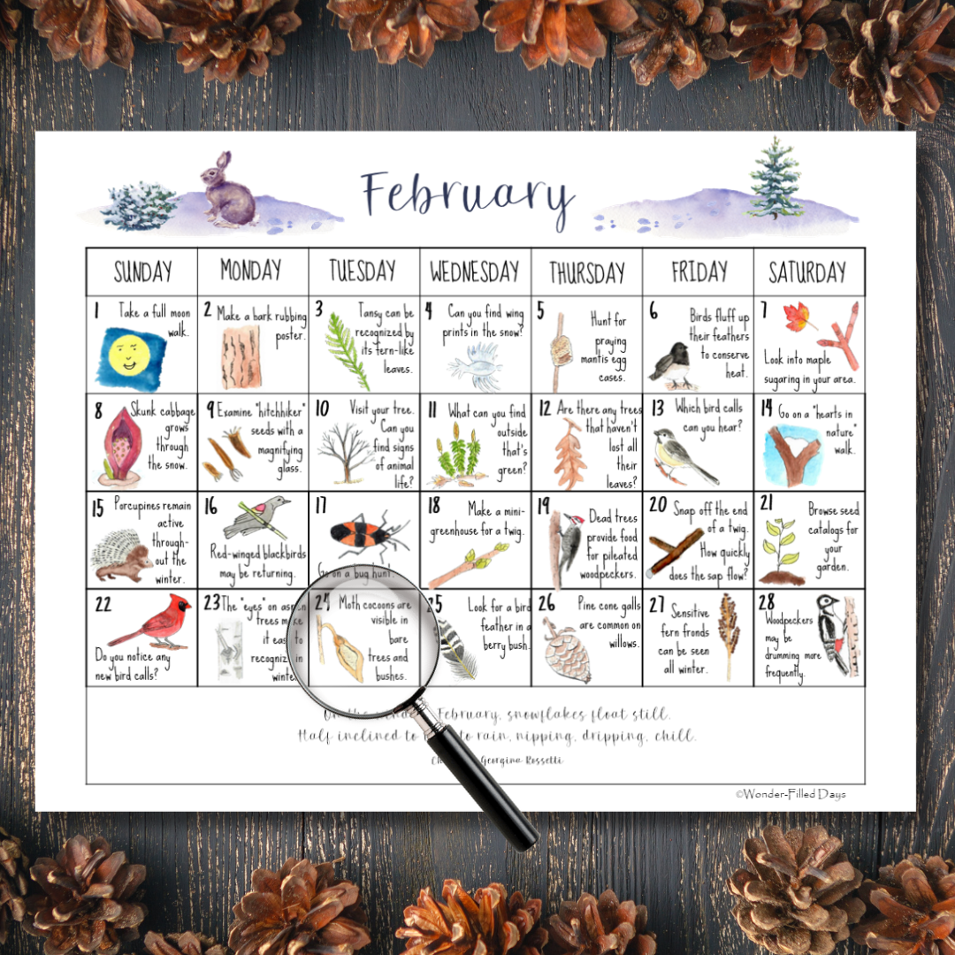 February Nature Calendar