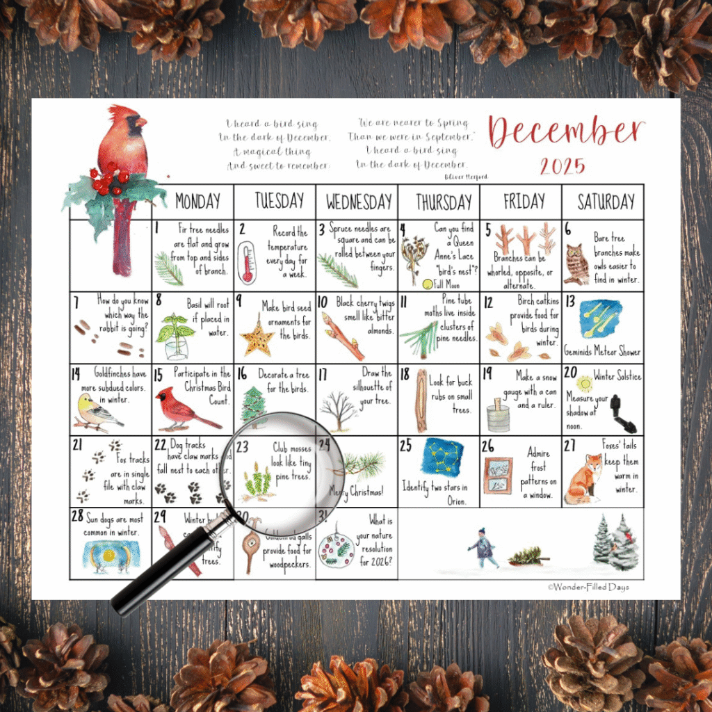 Chemistry 101 Review - Wonder-Filled Days