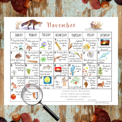 November Calendar 2026