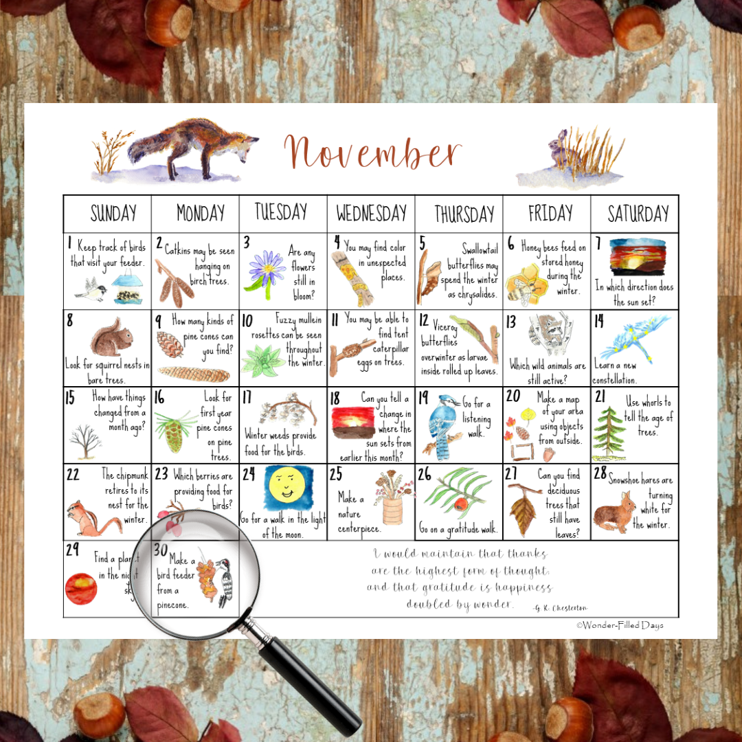 November Calendar 2026
