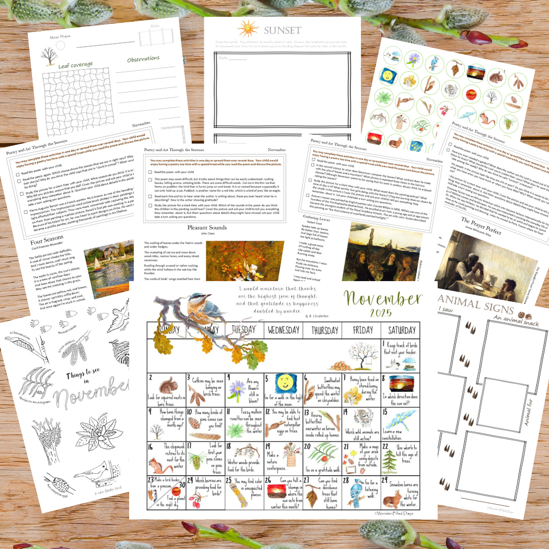 Wonder-Filled Days in Nature (Small Group) - Image 13