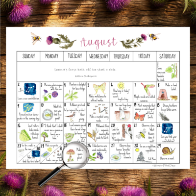 August Nature Calendar 2026