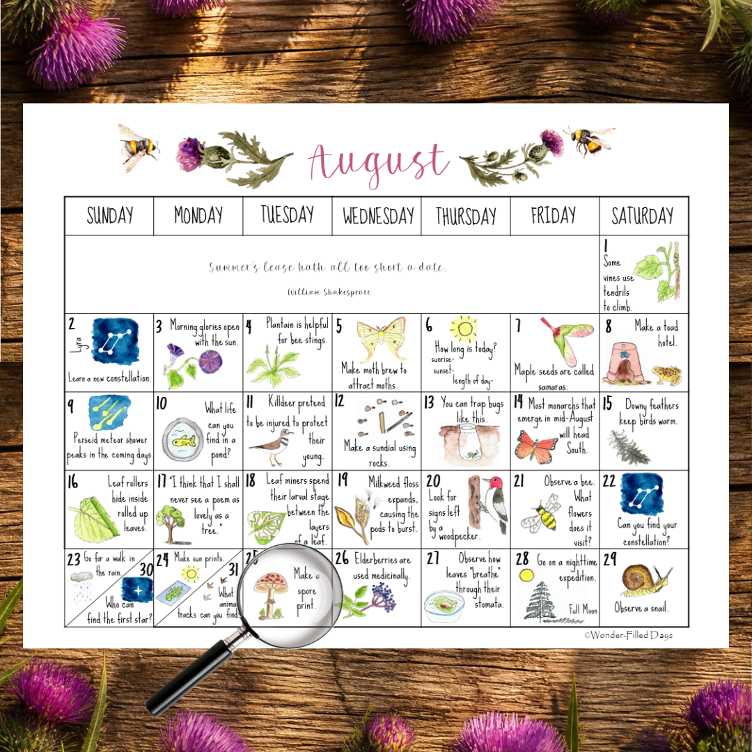 August Nature Calendar 2026