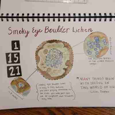Nature Journaling: A Close-up View