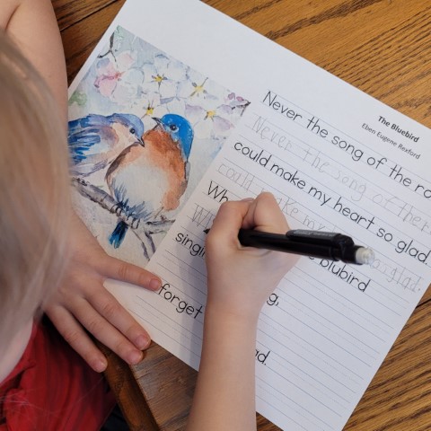 Bluebird Copywork