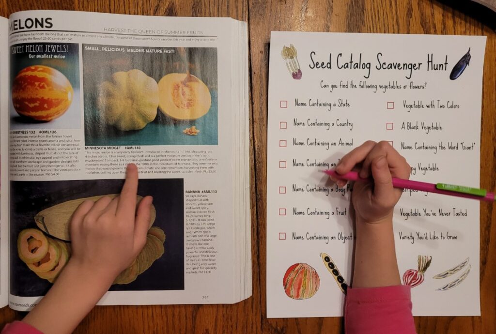 Seed Catalog Hunt