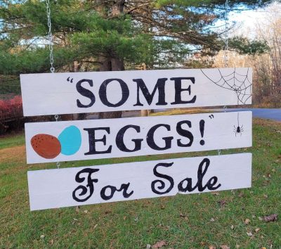 DIY Pallet Boards Eggs for Sale Sign