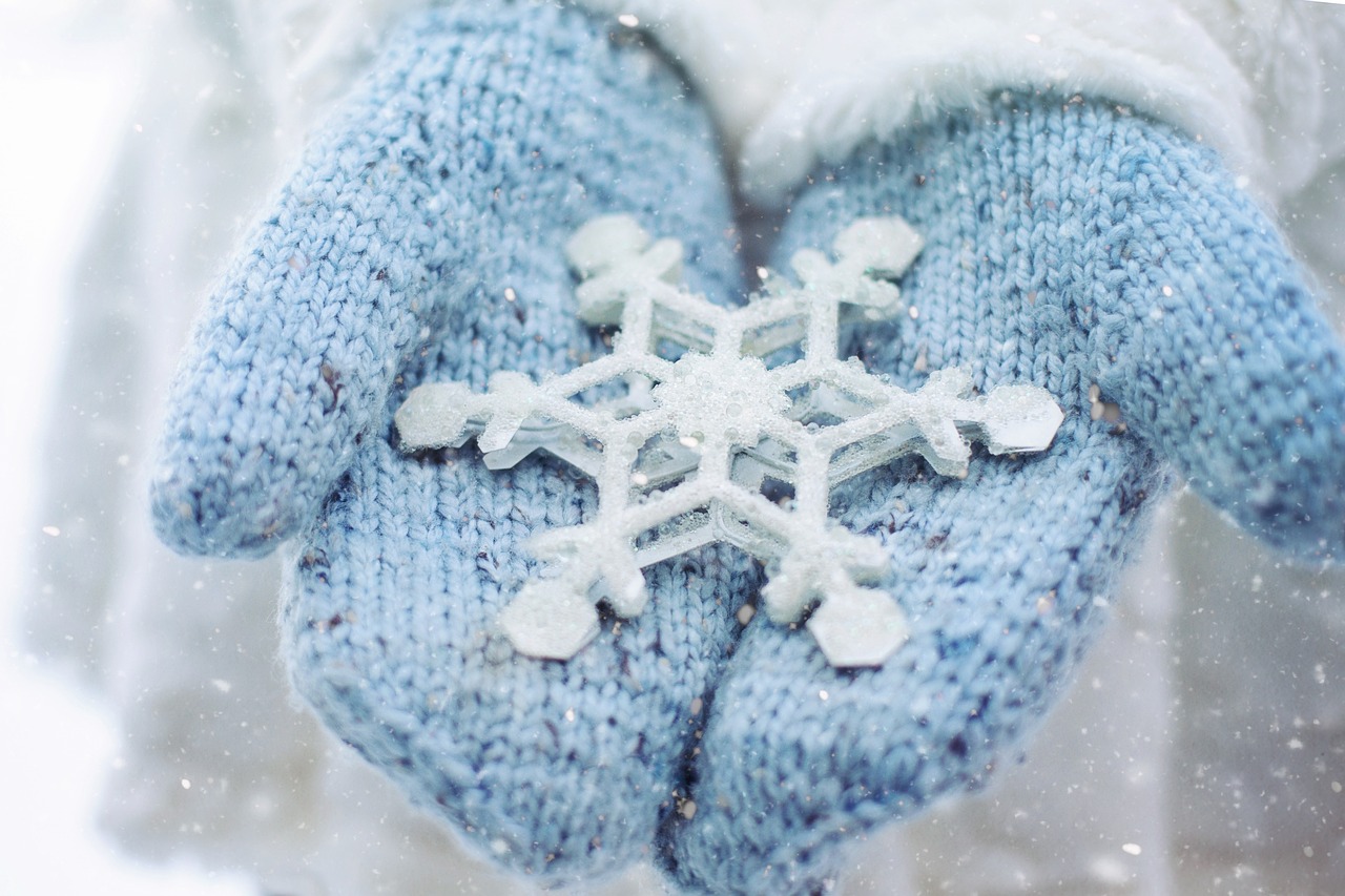 Winter Nature Study: Observing and Photographing Snowflakes
